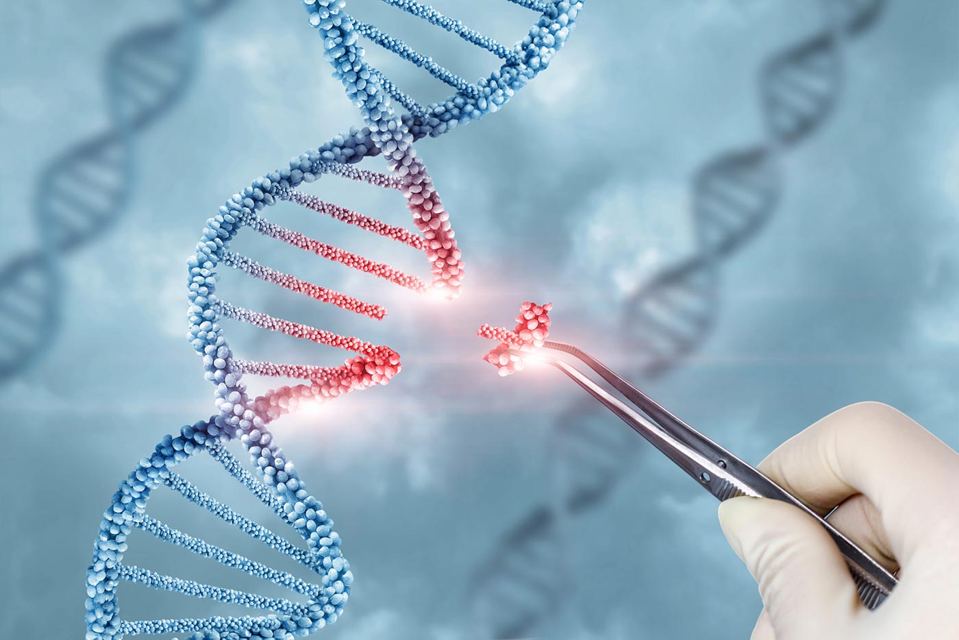 Gene Knockout Experimental Setup